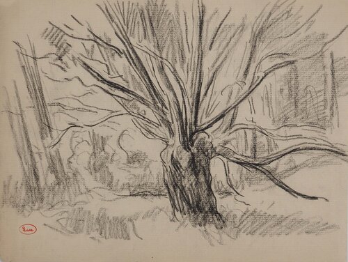 Vieil arbre aux branches sinueuses de Maximilien Luce, Dibujo a la venta en Singulart
