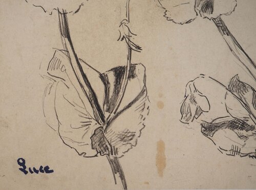 Etude de fleurs by Maximilien Luce, Work on Paper for Sale on Singulart