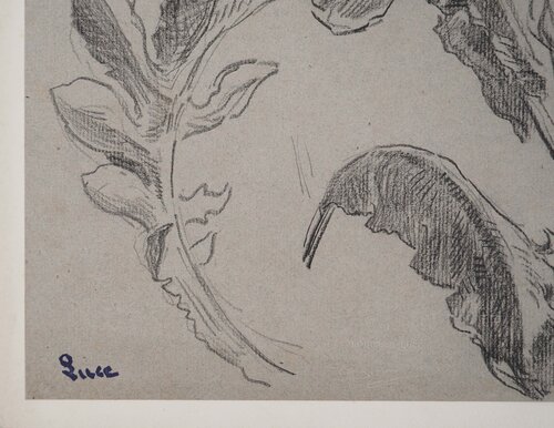 Etude de feuilles van Maximilien Luce, Werk op papier te koop op Singulart