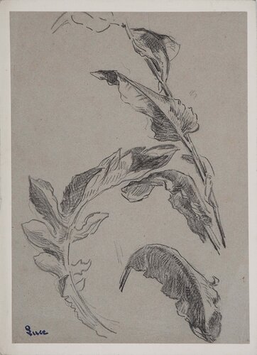 Etude de feuilles by Maximilien Luce, Drawing for Sale on Singulart