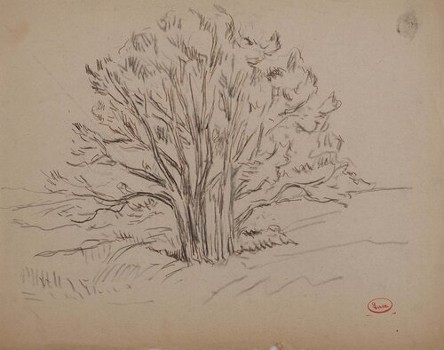 Grand noyer de Maximilien Luce, Dibujo a la venta en Singulart