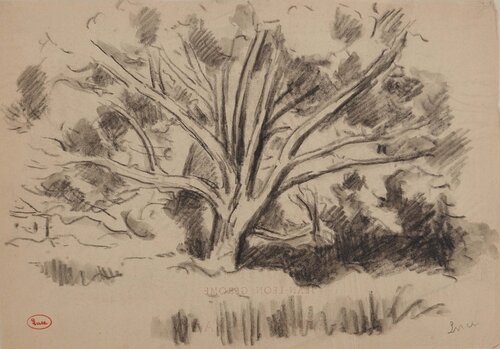 Etude d'arbre by Maximilien Luce, Drawing for Sale on Singulart