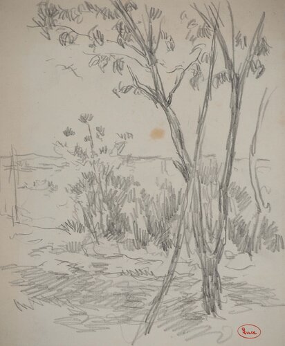Jeunes arbres en bord de sentier di Maximilien Luce, Disegno in vendita su Singulart