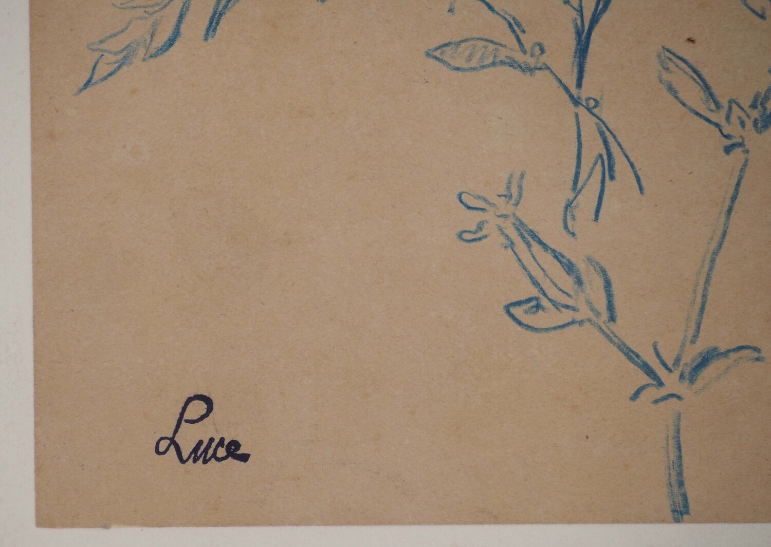 Etude de fleurs des champs Maximilien Luce