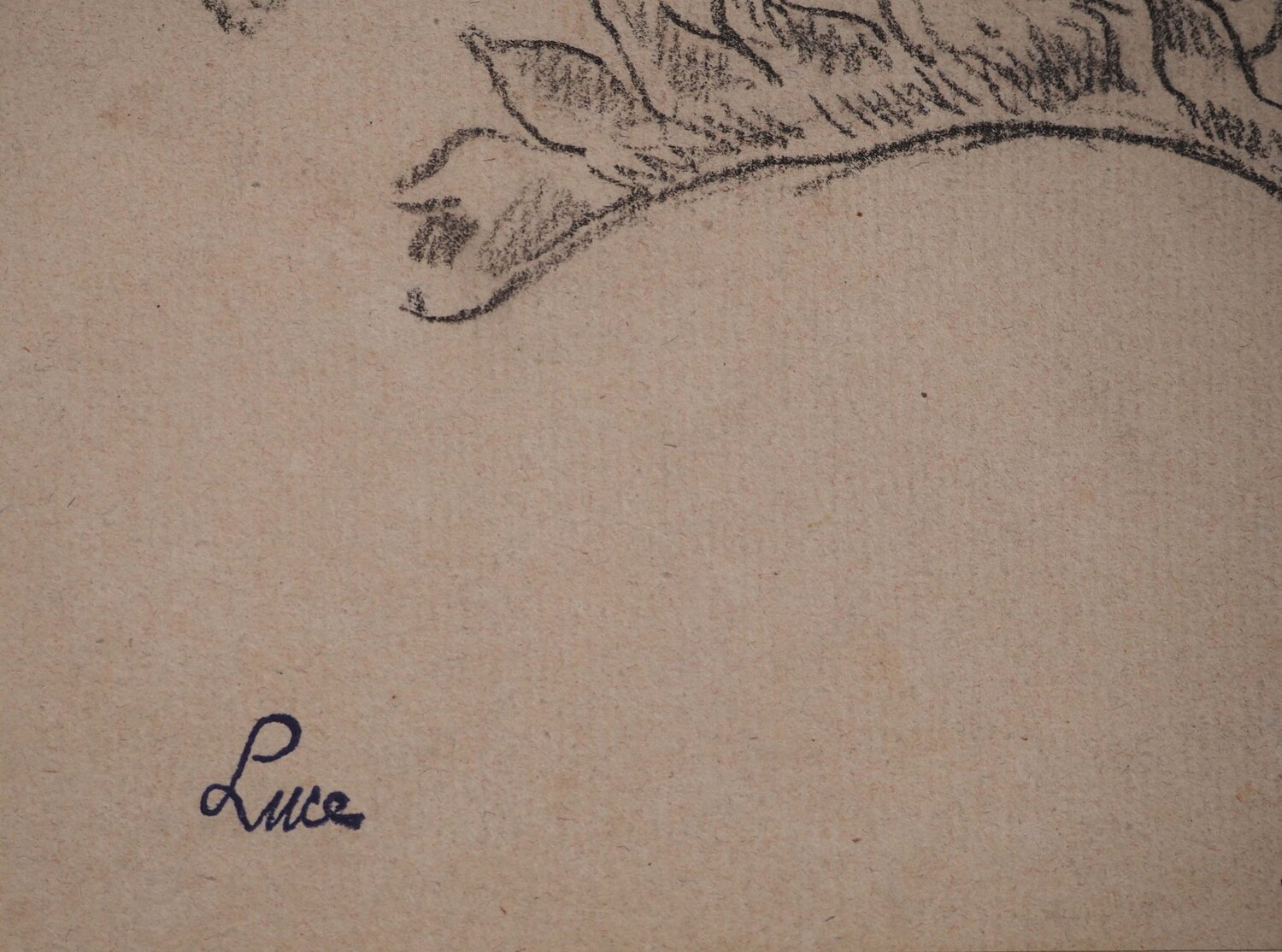 Etude de feuilles Maximilien Luce