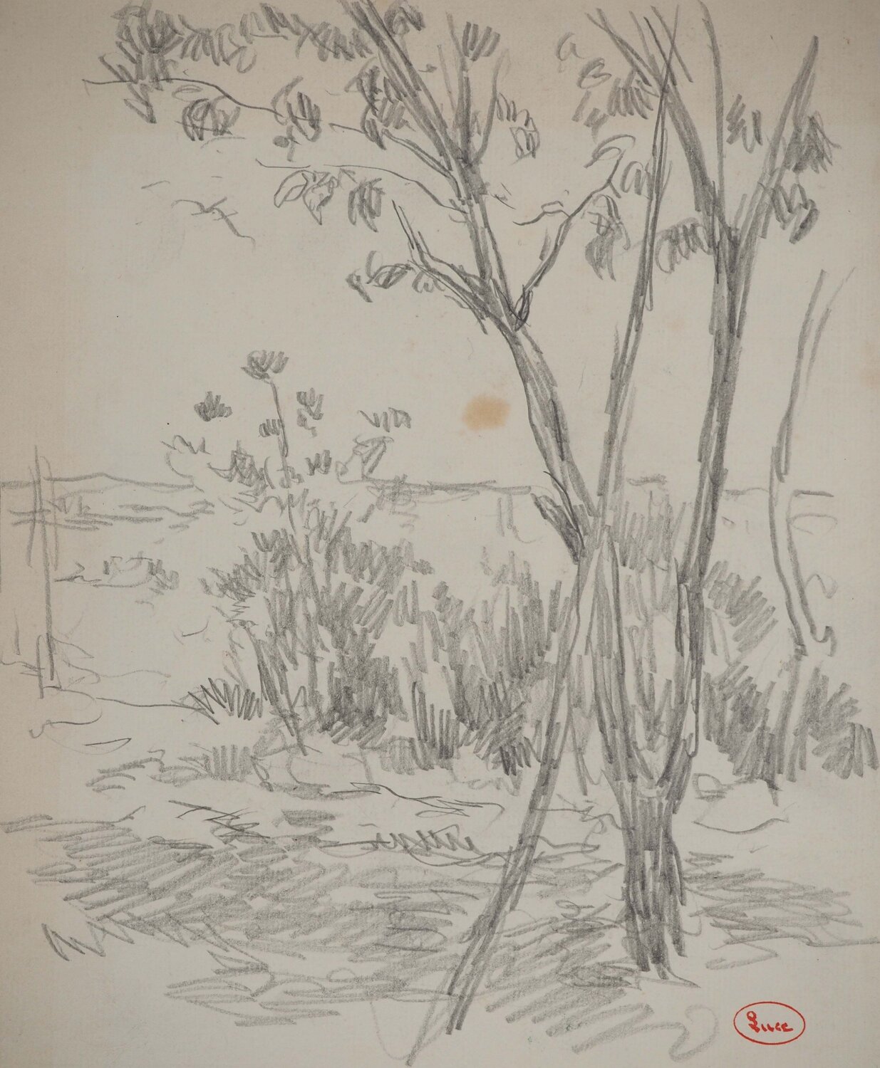 Jeunes arbres en bord de sentier Maximilien Luce Drawing for sale
