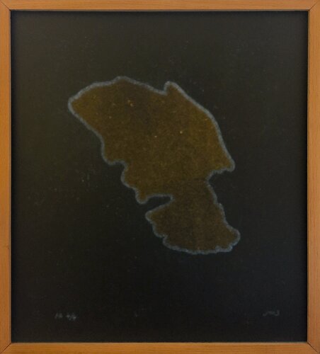 Untitled von José María Sicilia, Andere Medien kaufen auf Singulart