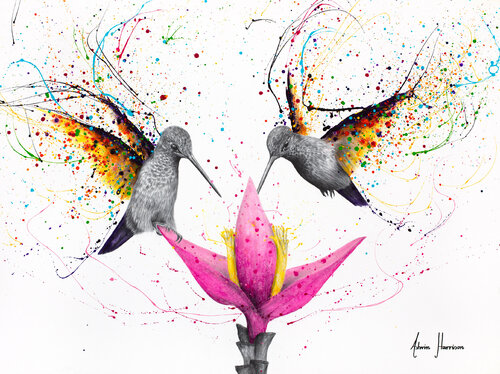 Friendship Hummingbirds di Ashvin Harrison, Pittura in vendita su Singulart