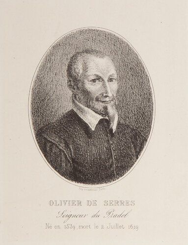 Portrait d'Olivier de Serres by Jean-François Millet, Print for Sale on Singulart