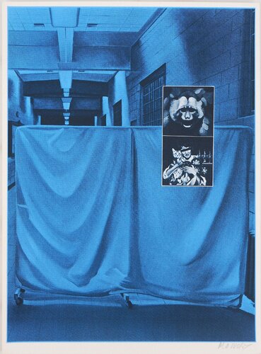 Le singe corrompu par Jacques Monory, Édition en vente sur Singulart