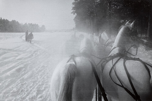 Sleigh Horses, Moscow par Inge Morath, Photographie en vente sur Singulart