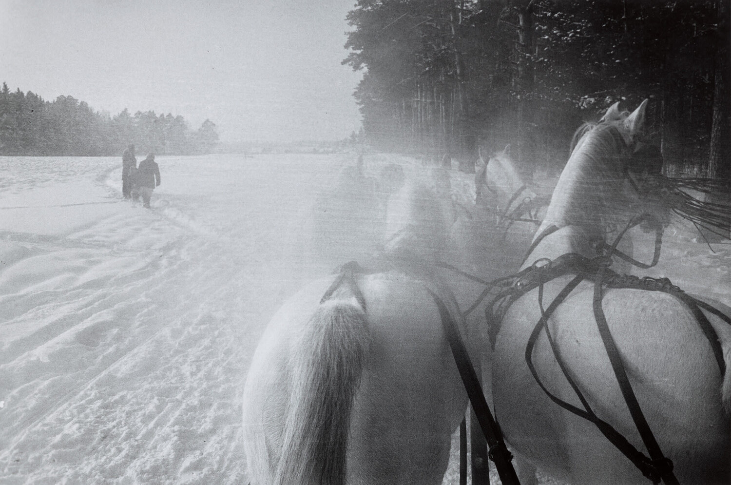Sleigh Horses, Moscow Inge Morath Photographie à vendre