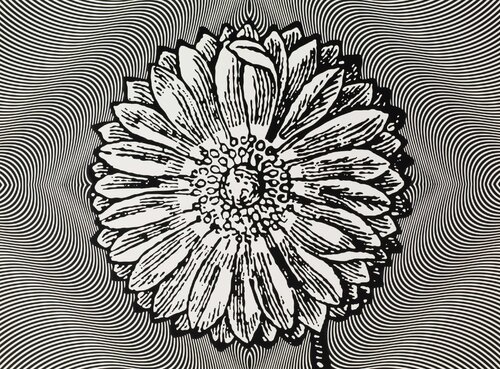 Psychotrope by Paul Morrison, Print for Sale on Singulart