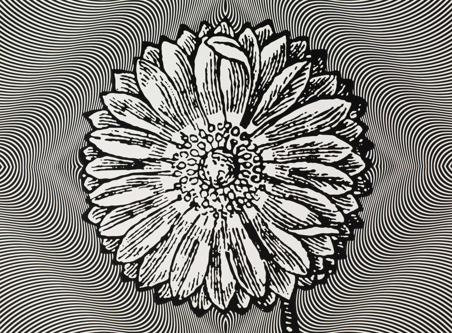 Psychotrope Paul Morrison