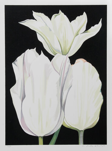 Three Tulips on Black van Lowell Nesbitt, Afdruk te koop op Singulart
