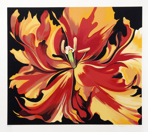 Red and Yellow Parrot Tulips van Lowell Nesbitt, Afdruk te koop op Singulart