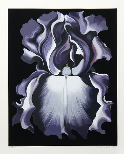 White and Violet Iris by Lowell Nesbitt, Print for Sale on Singulart