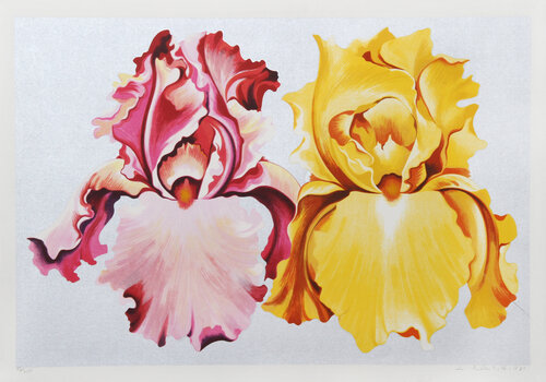 Pink and Yellow Irises van Lowell Nesbitt, Afdruk te koop op Singulart