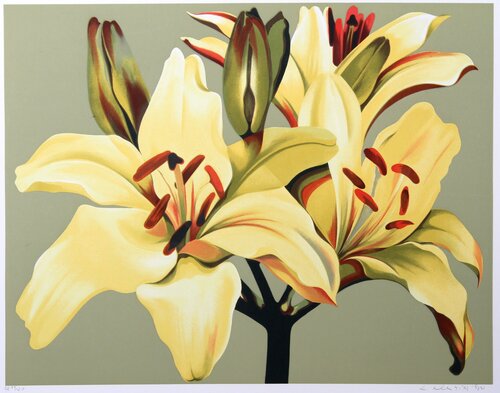 Lilies in Green van Lowell Nesbitt, Afdruk te koop op Singulart