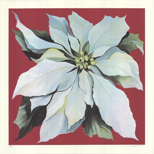 The Pointsettia von Lowell Nesbitt, Druck kaufen auf Singulart