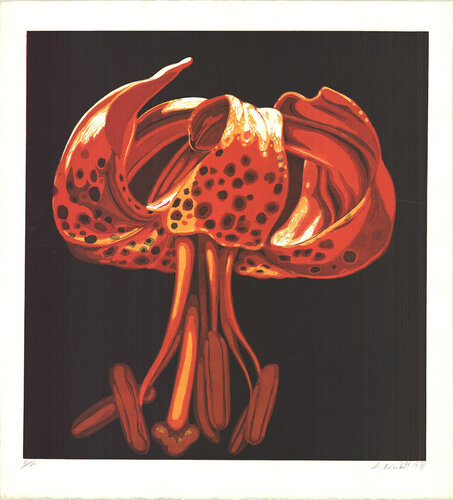 Untitled (Lily) by Lowell Nesbitt, Print for Sale on Singulart