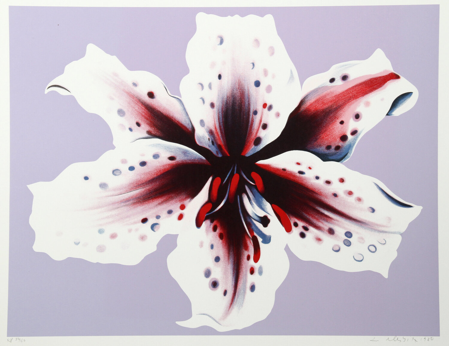 Lilium Lowell Nesbitt Stampa in vendita