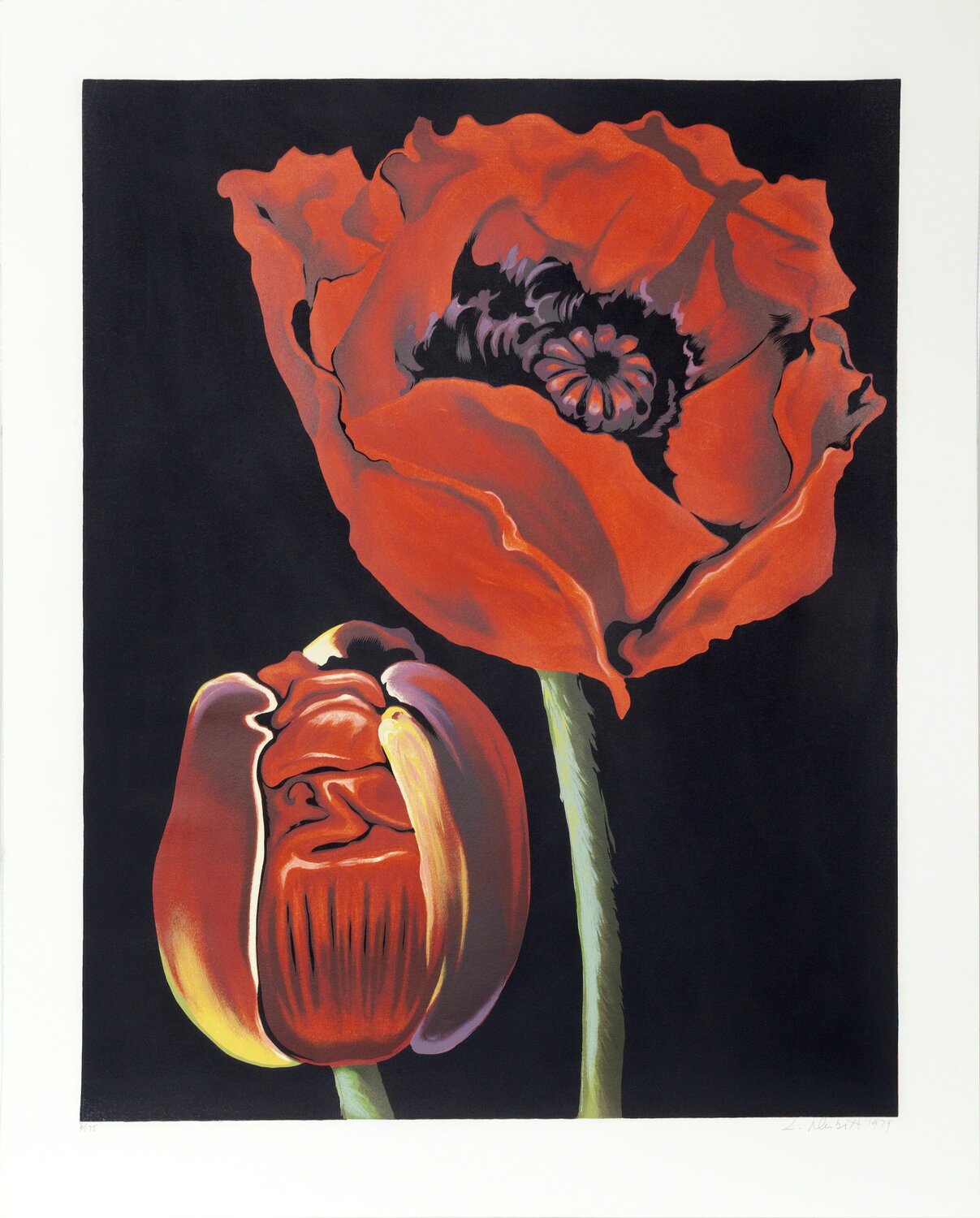 Red Poppies Lowell Nesbitt Druck zu verkaufen