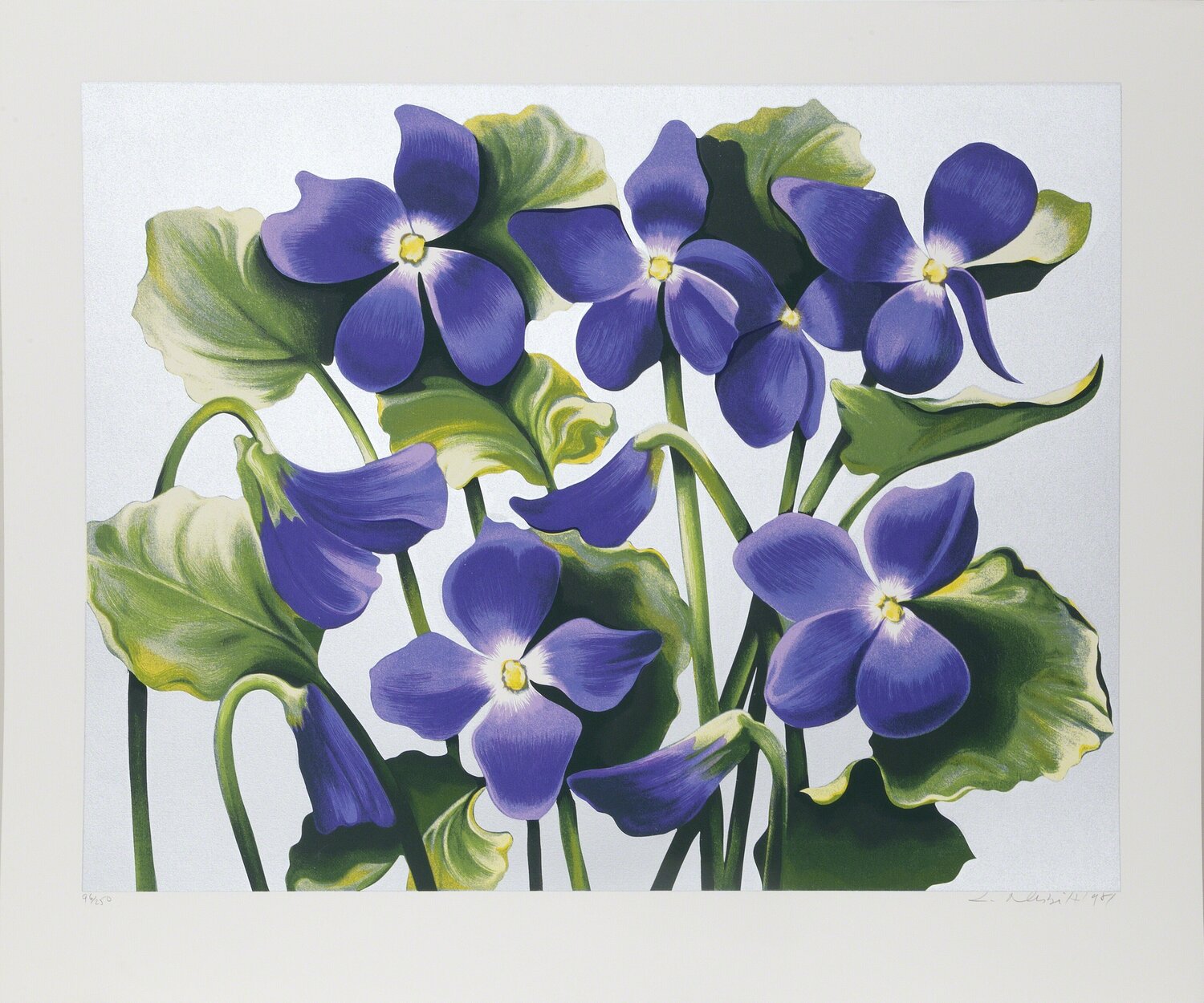 Viola Adorata Lowell Nesbitt Stampa in vendita