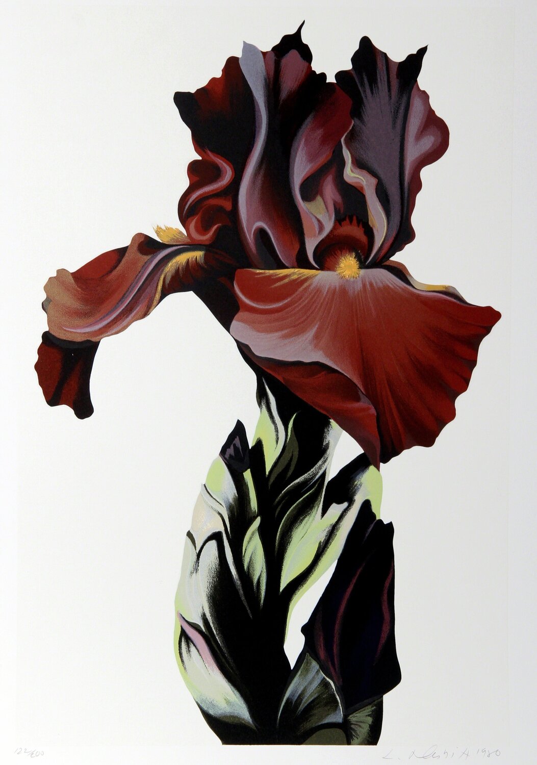 Burgundy Iris Lowell Nesbitt Stampa in vendita