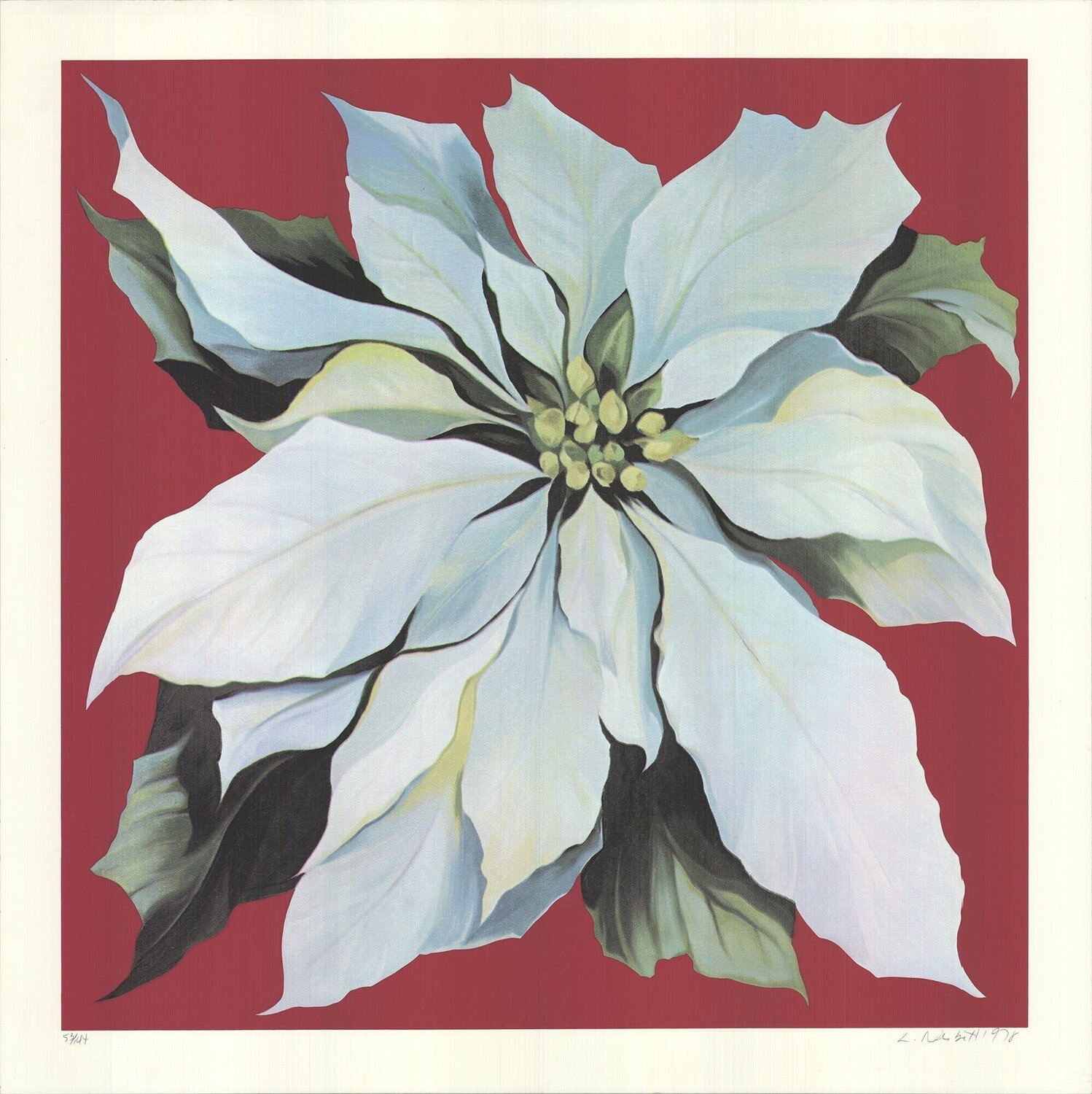 The Pointsettia Lowell Nesbitt Druck zu verkaufen