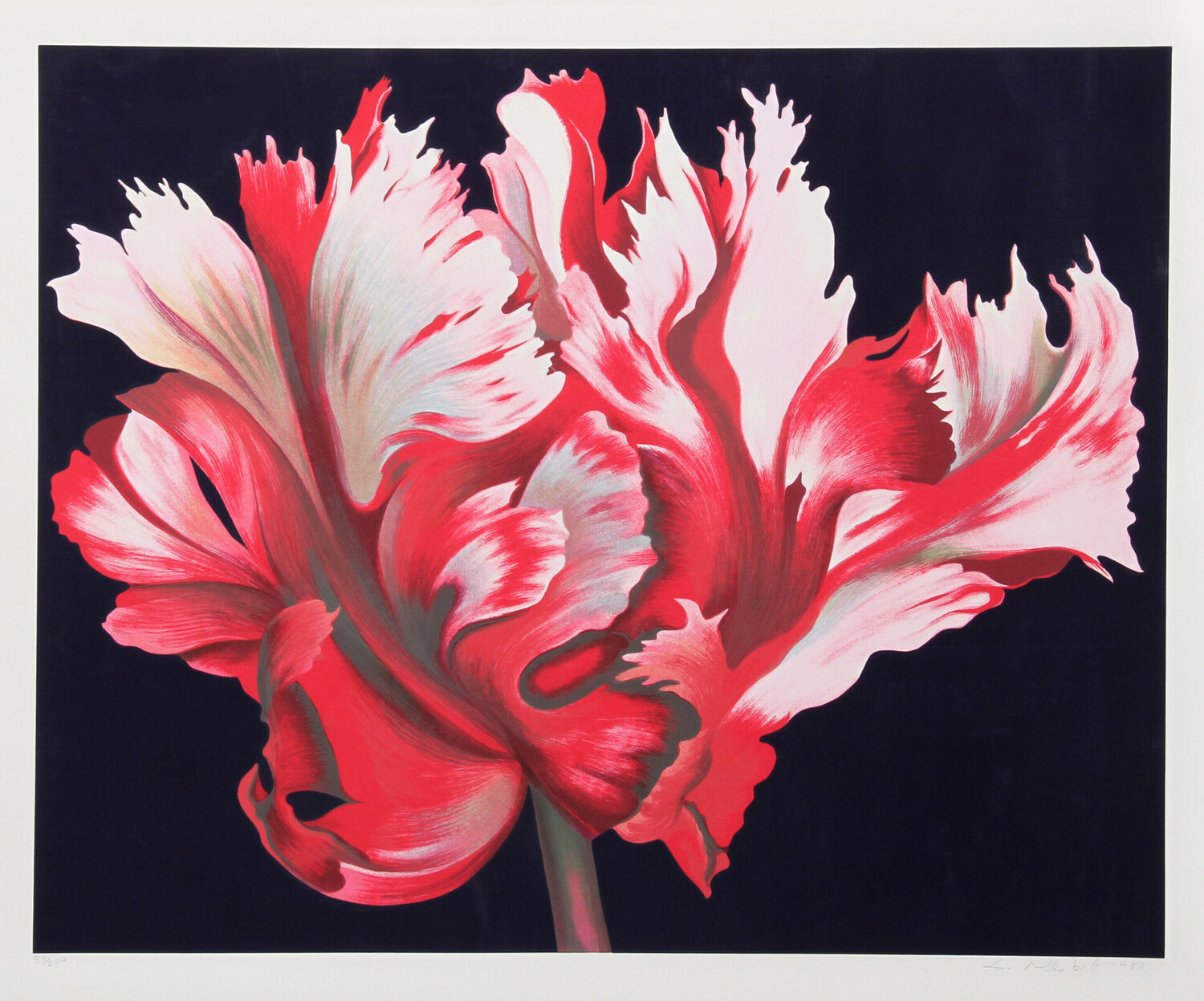 Parrot Tulip II Lowell Nesbitt Impresión en venta