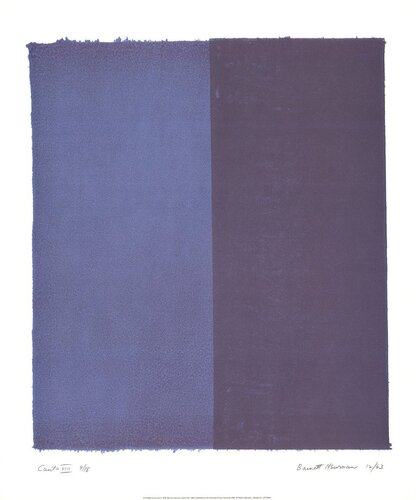 Canto VIII by Barnett Newman, Print for Sale on Singulart