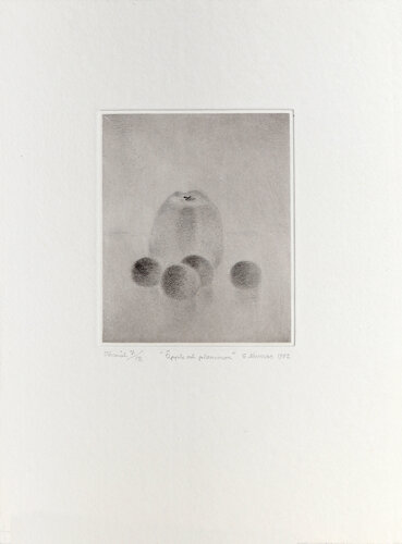 Apple och Plommon (Apple and Plum) by Gunnar Norrman, Print for Sale on Singulart