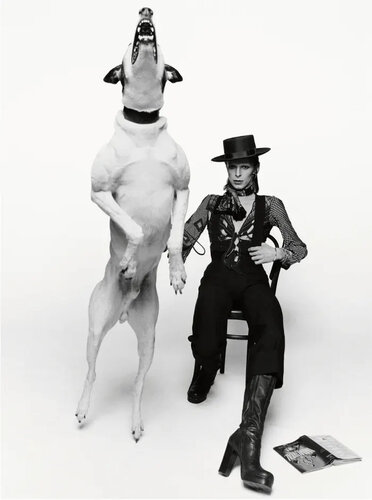 David Bowie Diamond Dogs by Terry O'Neill, Photography for Sale on Singulart