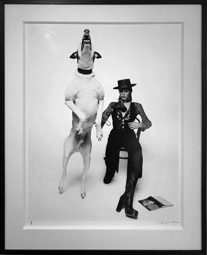 David Bowie for Diamond Dog (DB001) by Terry O'Neill, Photography for Sale on Singulart