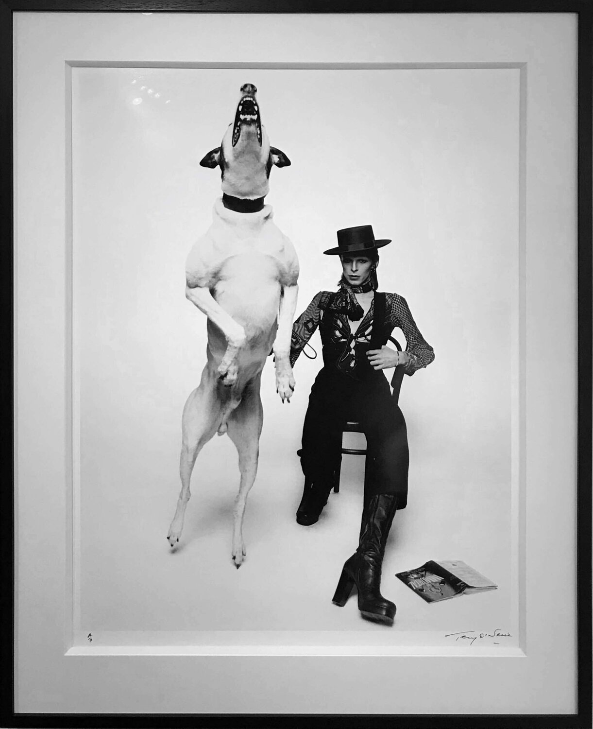 David Bowie for Diamond Dog (DB001) Terry O'Neill