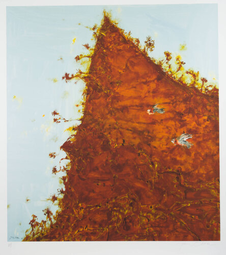 'Galahs Against Hillside' van John Olsen, Afdruk te koop op Singulart