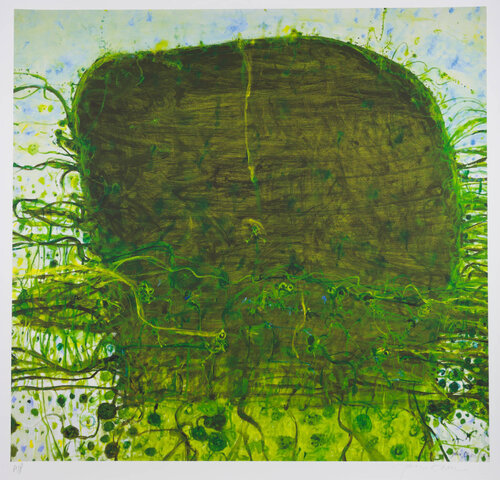 Frog Springs van John Olsen, Afdruk te koop op Singulart