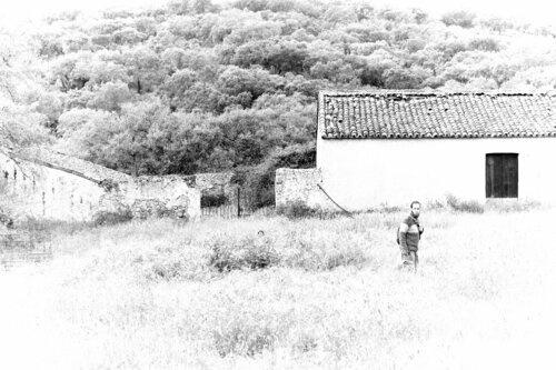 El fugitivo, de la vida, menos buscado Elena Barón