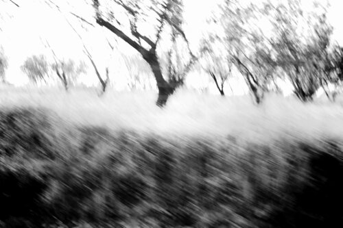 In motion 2 by Elena Barón, Photography for Sale on Singulart
