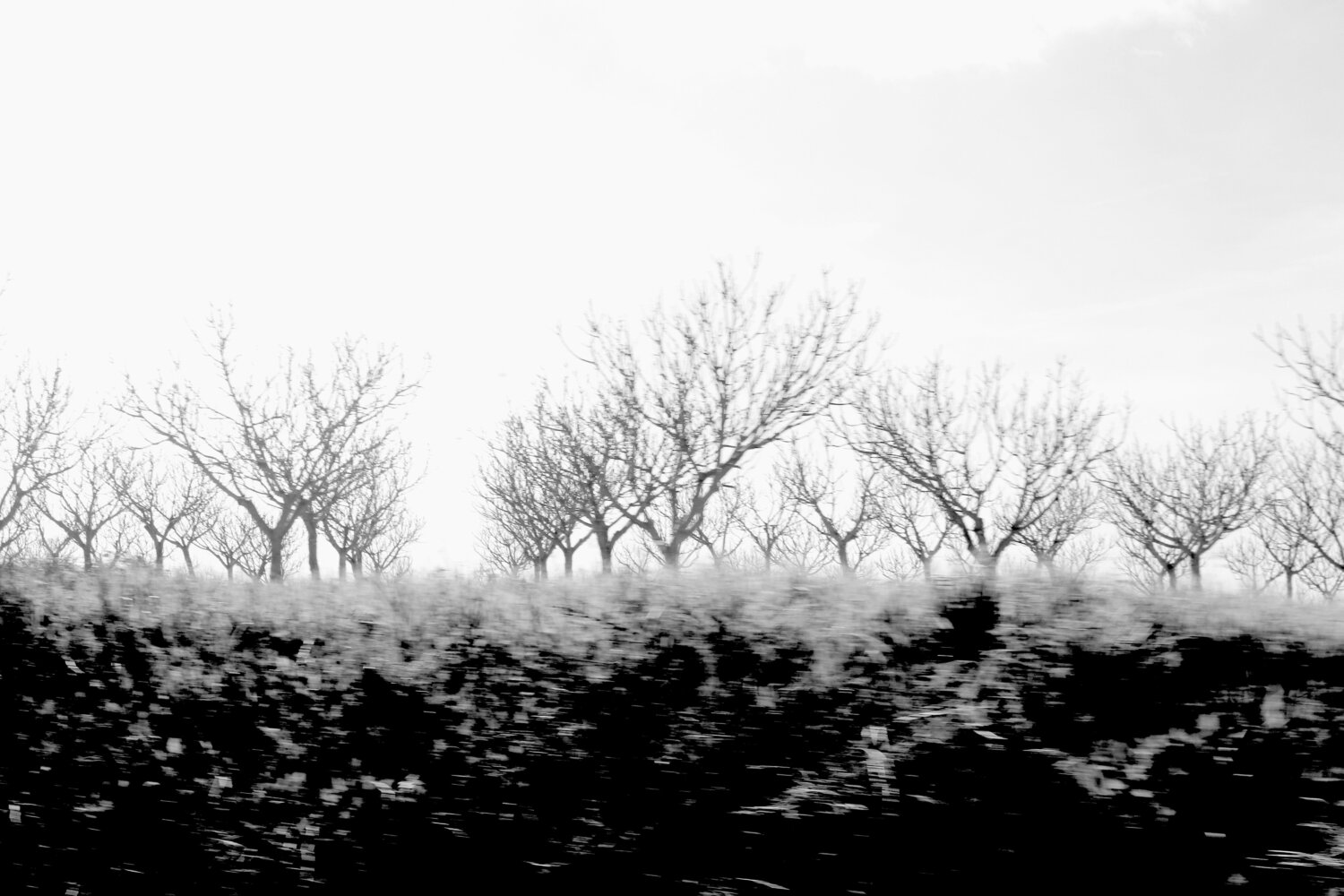 In motion Elena Barón
