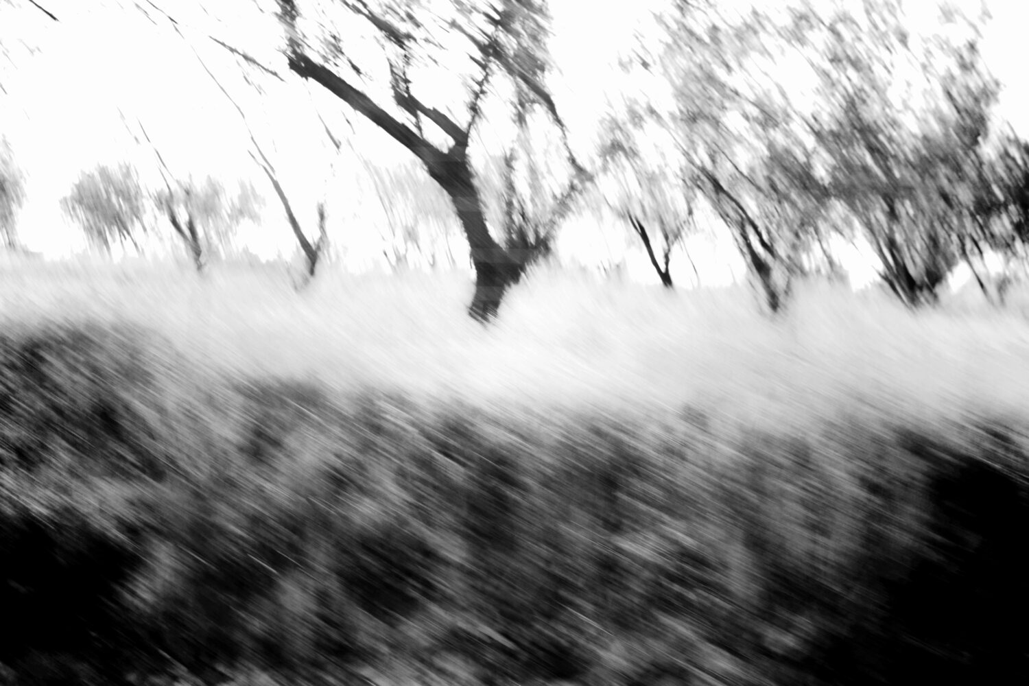 In motion 2 Elena Barón