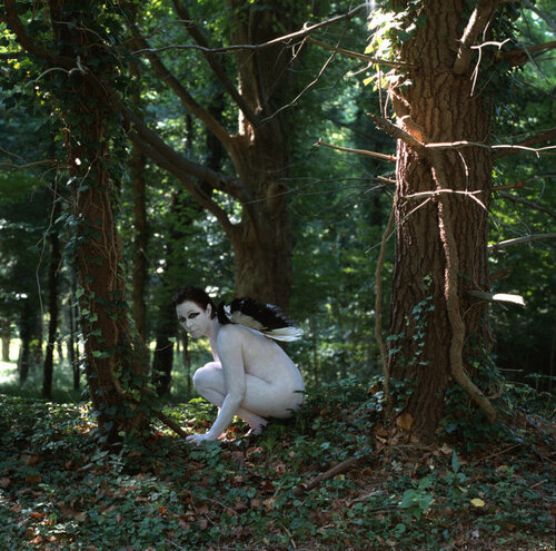 Gnome von Cecilia Paredes, Fotografie kaufen auf Singulart