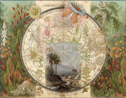 Lost Paradise von Cecilia Paredes, Textil kaufen auf Singulart