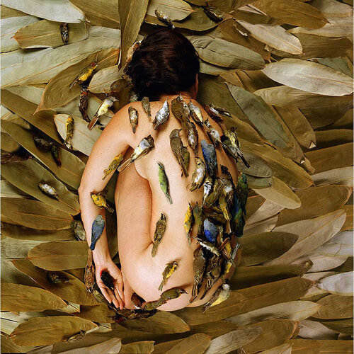 The Transformation (Birds and Nest) par Cecilia Paredes, Photographie en vente sur Singulart