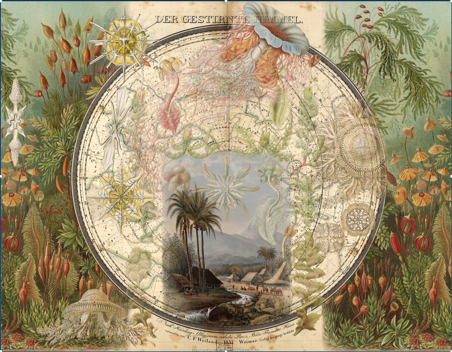 Lost Paradise Cecilia Paredes