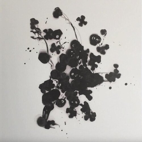 Cornelia Parker