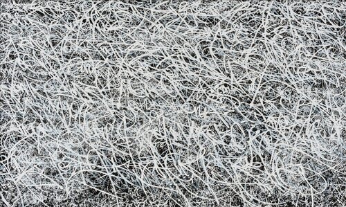 The Founders José Parlá