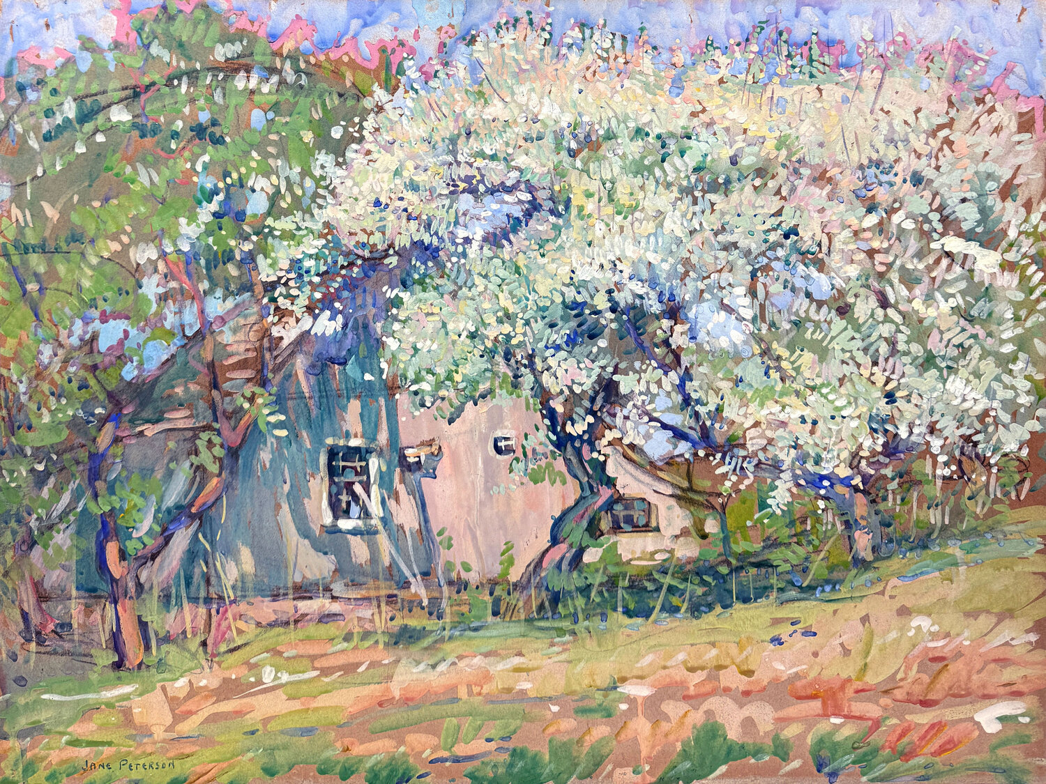 Orchard in Blossom Jane Peterson