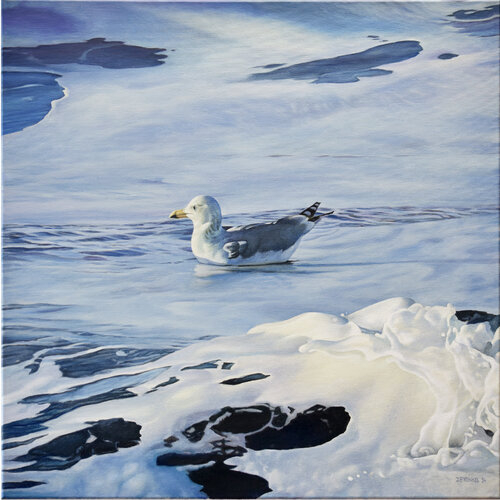 Syltimpression No. 31 - Möwe van Jean-Pierre Kunkel, Schilderij te koop op Singulart